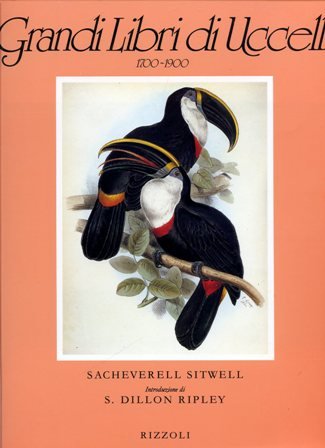 ExNovo Libreria