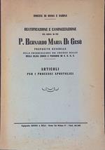 Beatificazione e canonizzazione del servo di Dio P. Bernardo Maria di Gesù, preposito generale della Congregazione dei Chierici Scalzi della SS.MA Croce e Passione di N.S.G.C. - Articoli per i processi apostolici