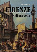 Firenze di una volta nei dipinti, nei disegni e nelle incisioni del Museo di Firenze Com'era