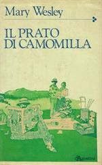 Il prato di camomilla