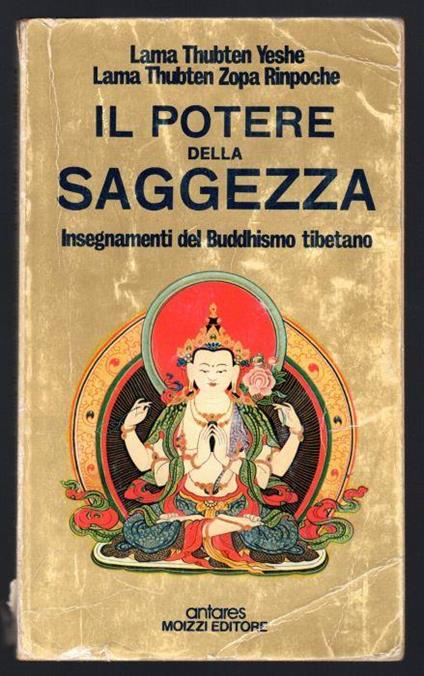 Il potere della saggezza. Insegnamenti del Buddhismo tibetano - copertina