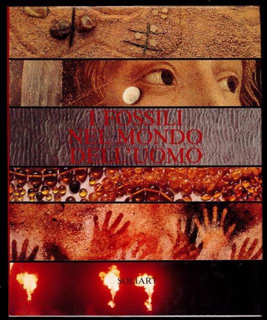 I fossili nel mondo dell'uomo - Enrico Annoscia - copertina