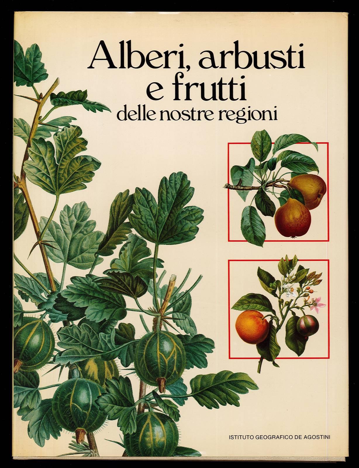 Libreria Trippini Sergio