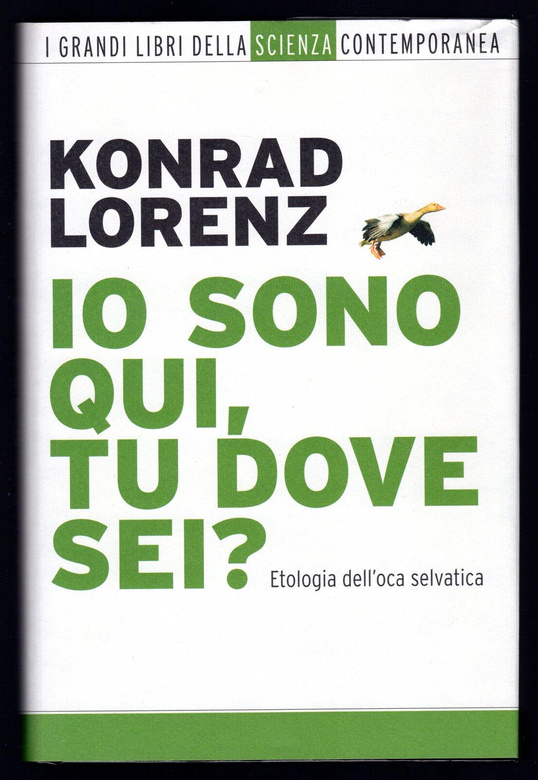 Libreria Trippini Sergio