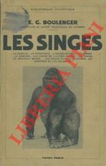 Les singes