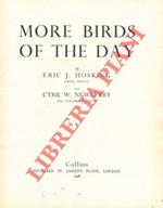 More birds of the day