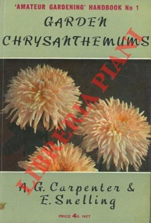 Garden chrysanthemums - A. Carpenter - copertina