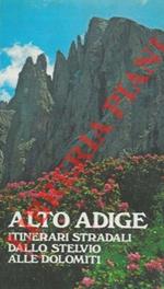 Alto Adige. Itinerari stradali dallo Stelvio alle Dolomiti