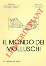 Il mondo dei molluschi