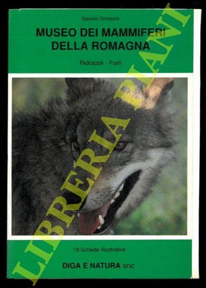 Museo dei mammiferi della Romagna. Ridracoli. Forlì. 18 schede illustrate - Saverio Simeone - copertina