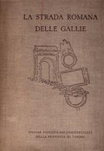 La strada romana delle Gallie