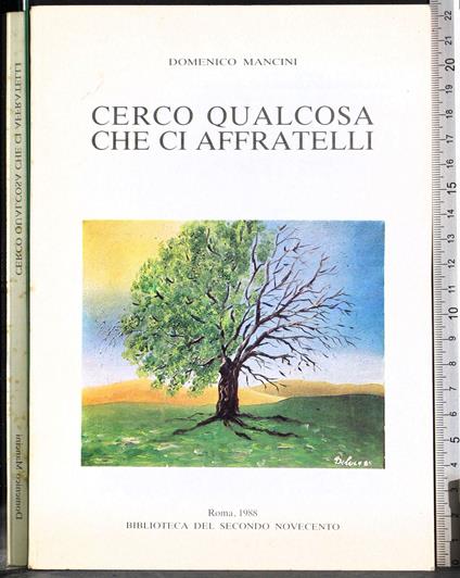 Cerco qualcosa che ci affratelli - copertina