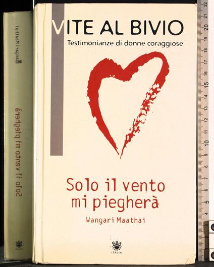 Vite al bivio - copertina