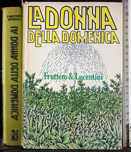 donna della domenica - Carlo Fruttero - copertina
