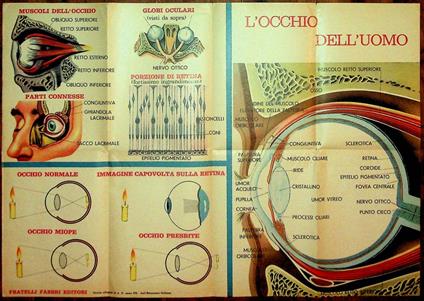 L'occhio dell'uomo - copertina