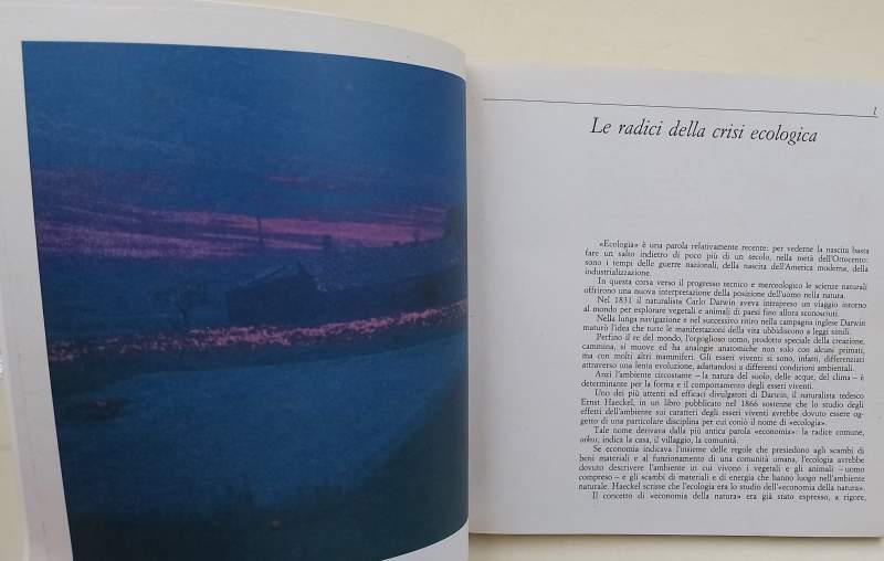 Societa' Dei Rifiuti