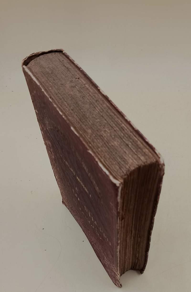 Vita E Lo Sviluppo Del Linguaggio