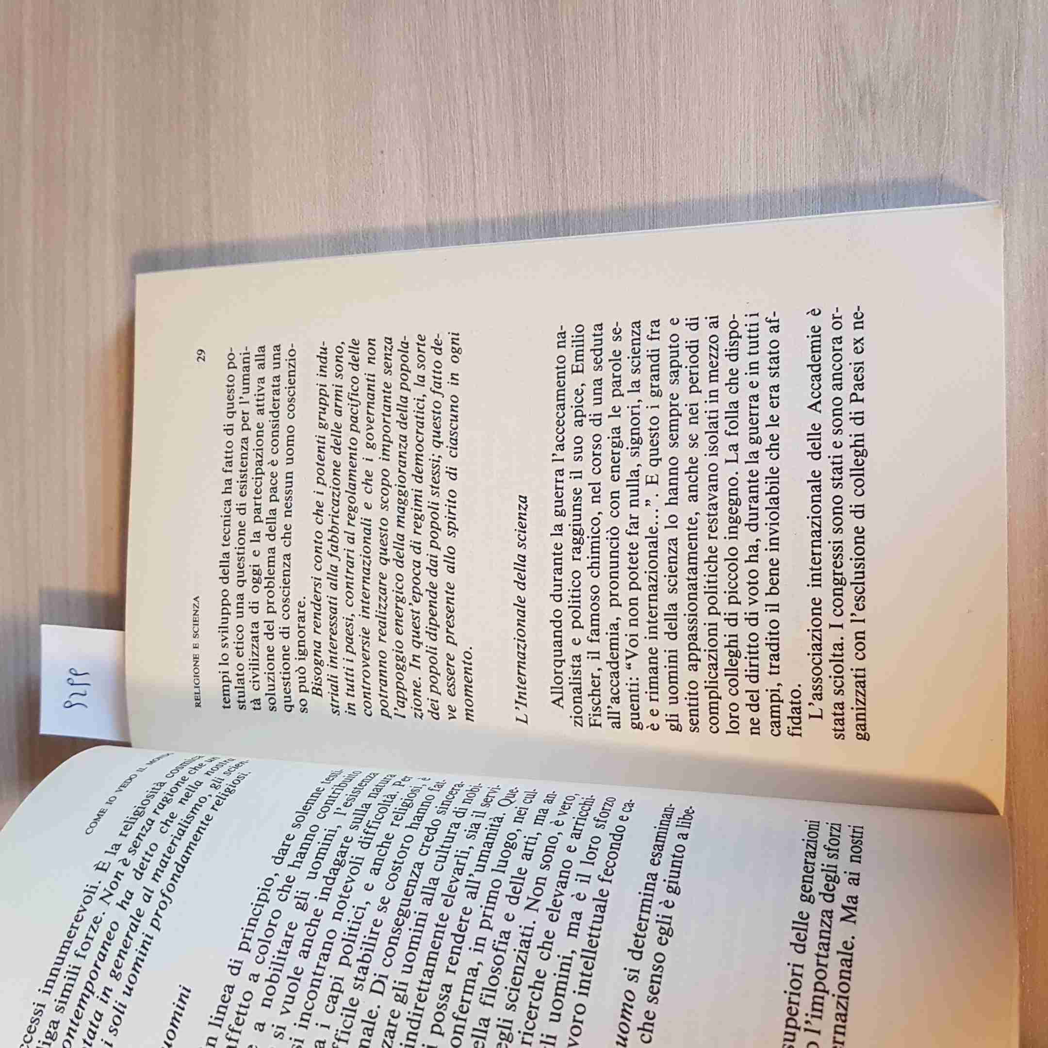 F.E.N. Libreria