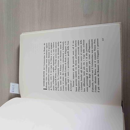 Pietro E Paolo Apostoli A Roma - Matteo Nardelli - Franciscanum - Matteo Nardelli - copertina