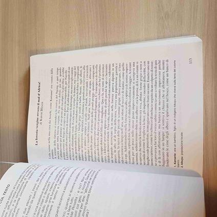 Prosa - Analisi Del Testo - Panebianco, Pullega - Clio Per La Maturità - copertina