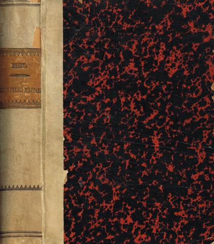 Il Giambologna - Patrizia Patrizi - copertina