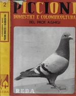 Piccioni domestici e colombicoltura