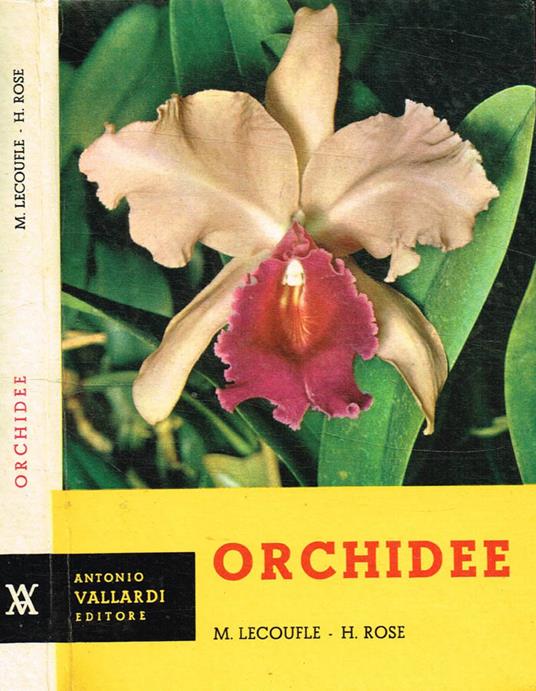 Orchidee - copertina