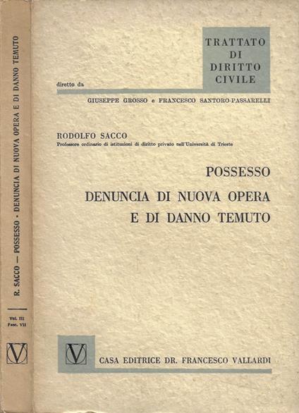 Il possesso - La denuncia di nuova opera e di danno temuto - copertina
