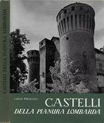 Castelli della pianura lombarda