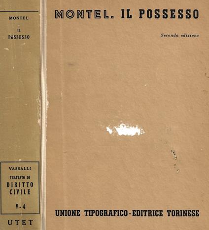 Il possesso - Alberto Montel - copertina