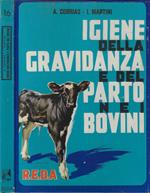 Igiene gravidanza parto bovini