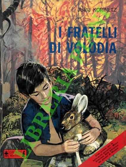 I fratelli di Volodia - copertina