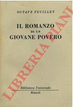 Il romanzo di un giovane povero.