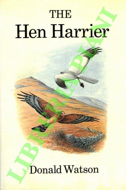 The Hen Harrier - copertina
