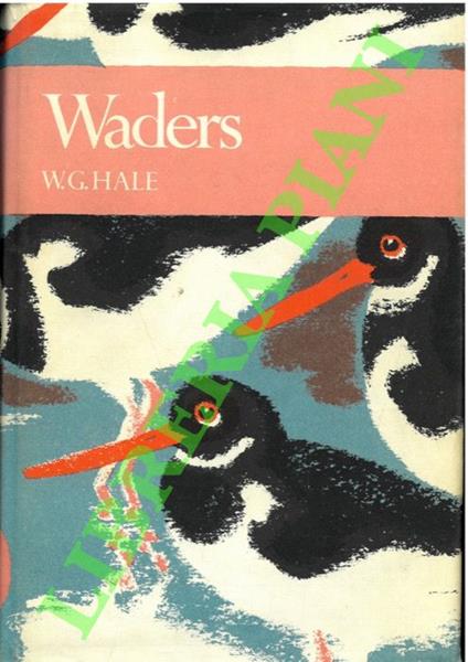 Waders. - copertina