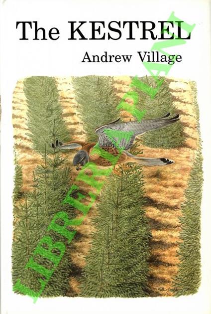 The kestrel. - copertina