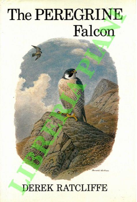 The peregrine falcon. - copertina