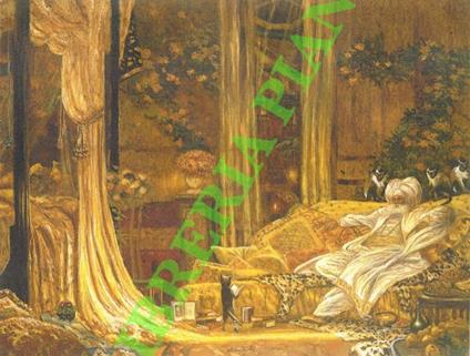 Lettere persiane di Montesquieu illustrate da Antonio Saliola. - Charles L. de Montesquieu - copertina