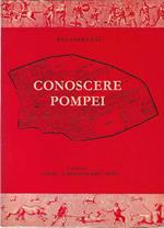 Conoscere Pompei