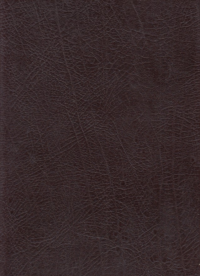 Arca dei libri