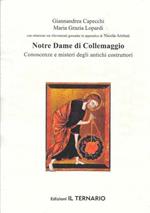 Notre Dame di Collemaggio. Conoscenze e misteri degli antichi costruttori + DVD