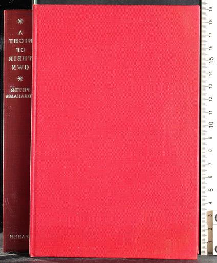 A Night of their own - Peter Abrahams - copertina