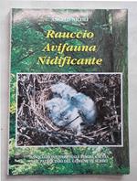 Rauccio Avifauna nidificante