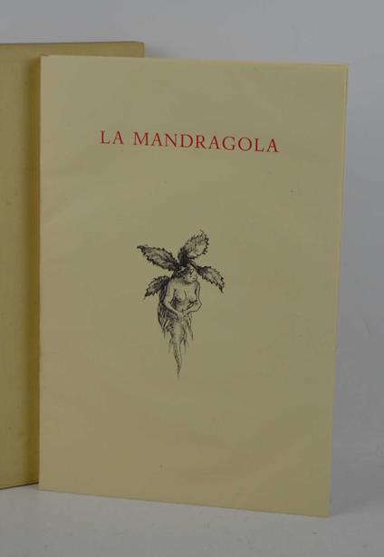 Mandragola - copertina
