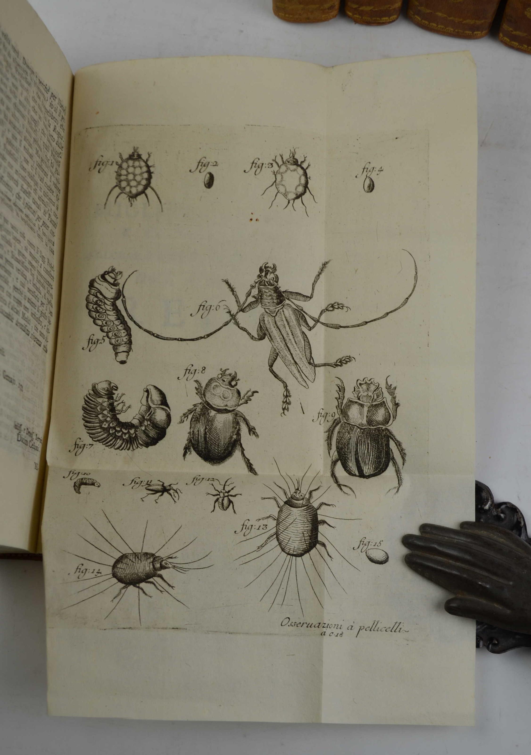 Studio bibliografico Benacense