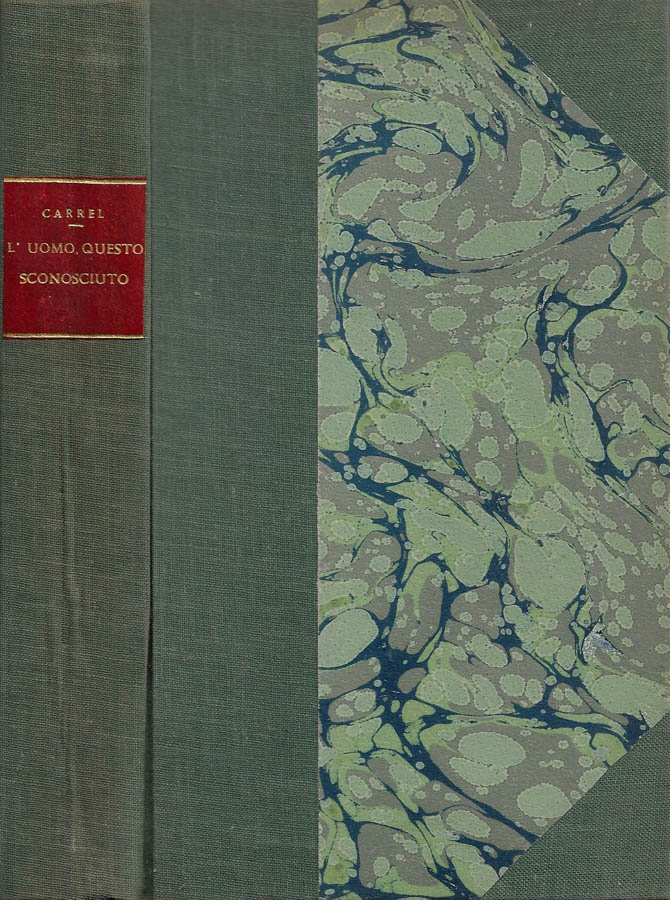 Biblioteca di Babele