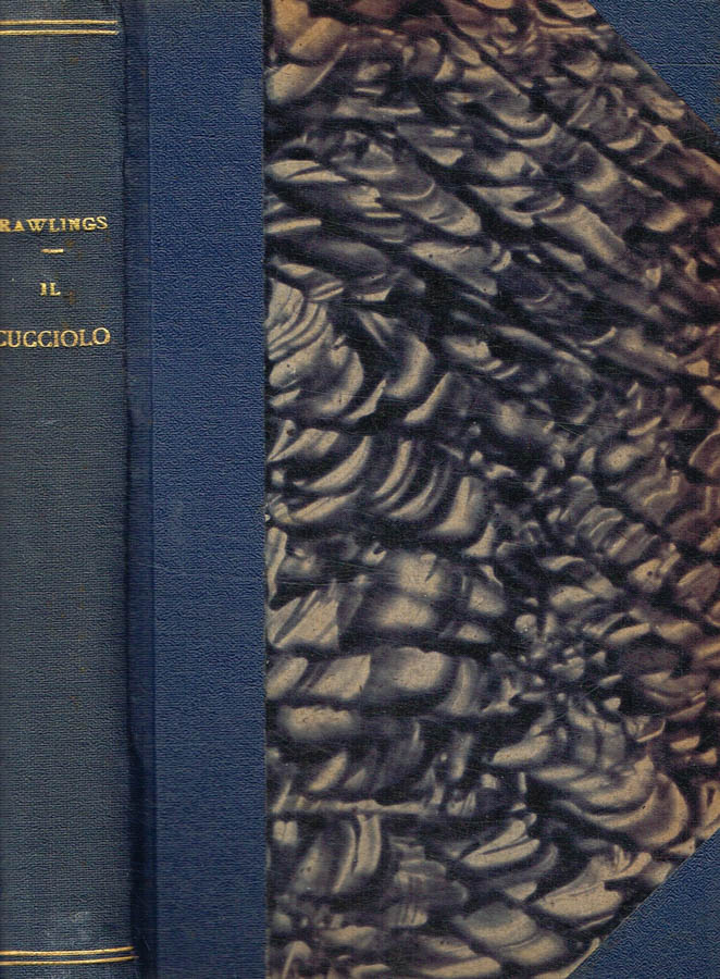 Biblioteca di Babele