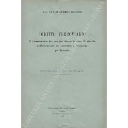 Diritto ferroviario. Il risarcimento del maggior danno in caso di ritardo nell'esecuzione del contratto di trasporto per ferrovia - copertina
