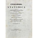 Enciclopedia anatomica che comprende l'anatomia descrittiva, l'anatomia generale, l'anatomia patologica, la storia dello sviluppo e delle razze umane. Tradotta dal tedesco da A.G.L. Jourdan. Prima traduzione italiana di M.G.Dr. Levi Medico. Vol. I - 