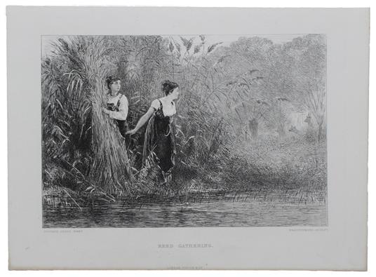 Reed Gathering (About 1850) - copertina